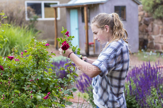 Ragazza adolescente bionda che taglia fiori rosa dal giardino formale . — Foto stock