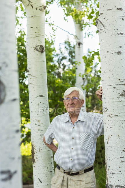 Homem sênior olhando para as árvores de álamo no jardim — Fotografia de Stock