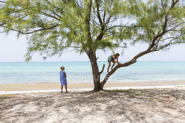 Loira adolescente escalada árvore na praia arenosa . — Fotografia de Stock