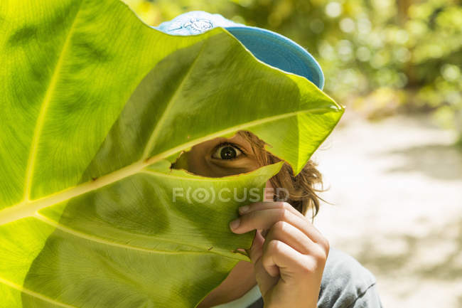 Menino escondido atrás de enorme folha verde na trilha da natureza — Fotografia de Stock