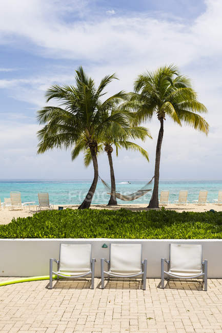 Poolliegen und Palmen, Grand Cayman Island — Stockfoto