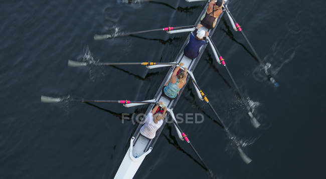 Weibliche Besatzung Rennfahrer Rudern, Hochwinkelblick, Lake Union, Seattle, washington, USA. — Stockfoto