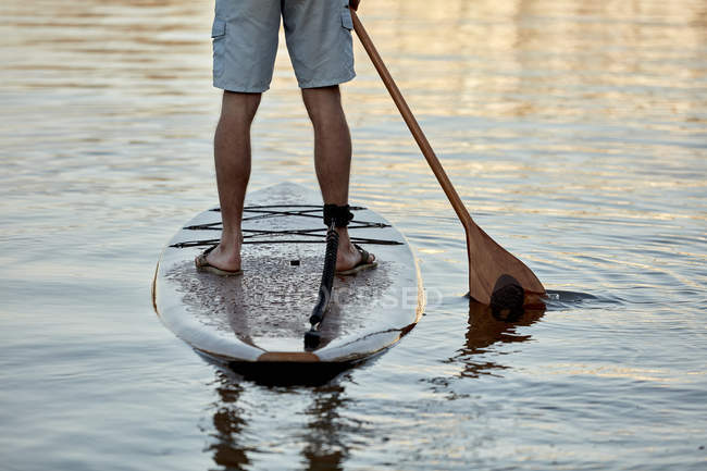 Beine eines Mannes, der im Morgengrauen auf einem Paddelbrett auf dem Fluss steht, Rückansicht — Stockfoto