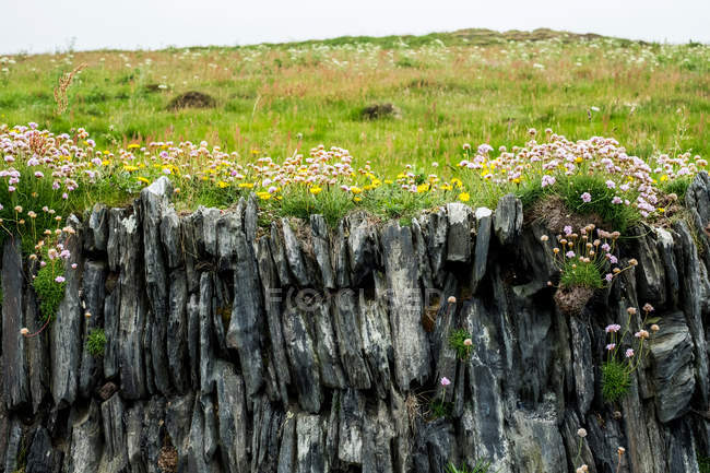 Malerischer Blick auf die Felswand von der Küste von Pembrokeshire, Wales, Großbritannien. — Stockfoto