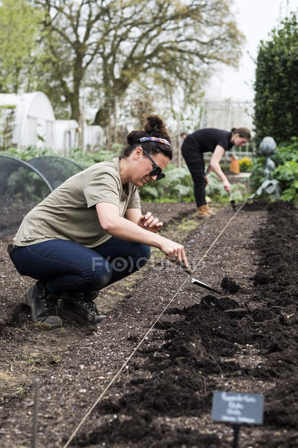 Due donne che lavorano su un letto di terreno appena posato nell'orto
. — Foto stock