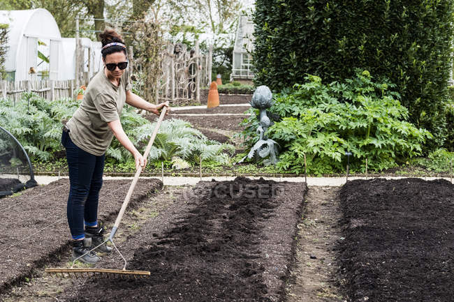Donna rastrellamento letto appena posato di terreno in orto . — Foto stock