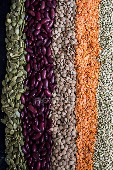 Alto angolo primo piano di file di legumi secchi e semi in vari colori
. — Foto stock