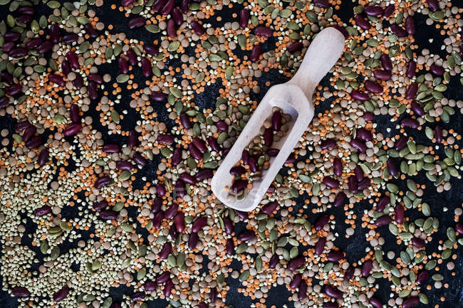High angle close-up of dried legumes and seeds and white scoop. — Stock Photo