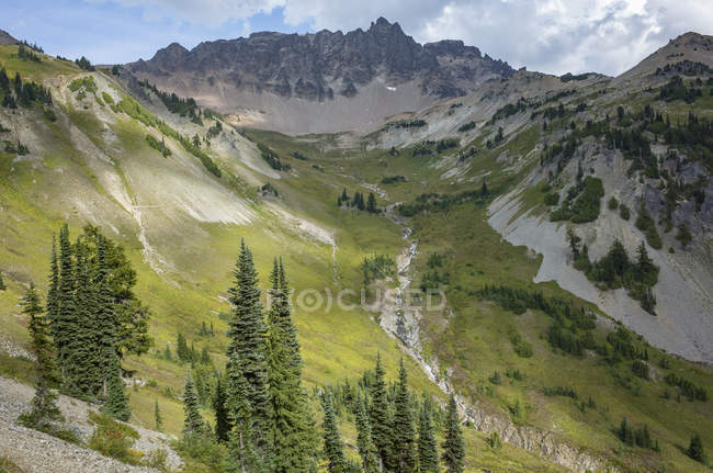 Alpine meadow and Gilbert Peak, along Pacific Crest Trail, Goat Rocks Wilderness, Washington, EE.UU. - foto de stock