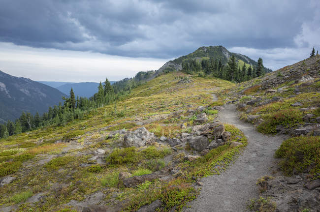 Pacific Crest Trail in alpine meadow, Goat Rocks Wilderness, Gifford Pinchot National Forest, Washington, États-Unis — Photo de stock
