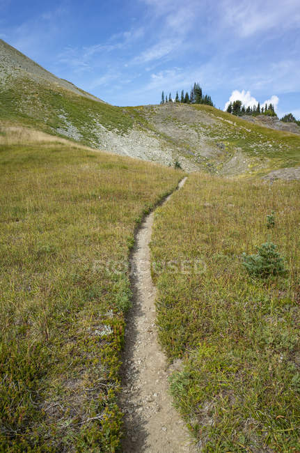 Pacific Crest Trail in alpine meadow, Goat Rocks Wilderness, Gifford Pinchot National Forest, Washington, USA — Stock Photo