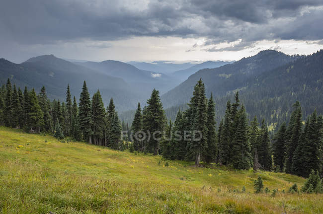 Nubes de tormenta sobre el prado alpino de Goat Rocks Wilderness, Gifford Pinchot National Forest, Washington, EE.UU. - foto de stock