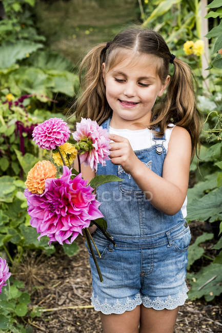 Chica vistiendo dungarees denim de pie en un jardín, sosteniendo Dahlias rosa . - foto de stock