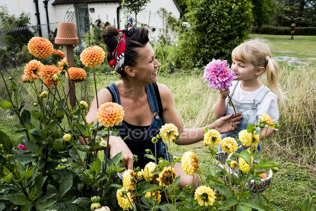 Ragazza e donna in ginocchio in giardino, raccogliendo Dahlias rosa e giallo . — Foto stock