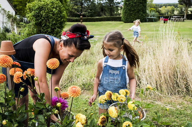 Mädchen und Frau stehen im Garten, pflücken rosa und gelbe Dahlien, Schwester läuft im Hintergrund. — Stockfoto