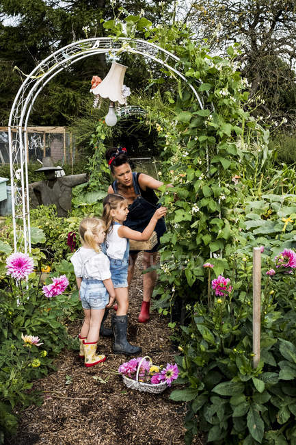 Woman and girls standing underneath arch in garden, picking green beans. — Stock Photo