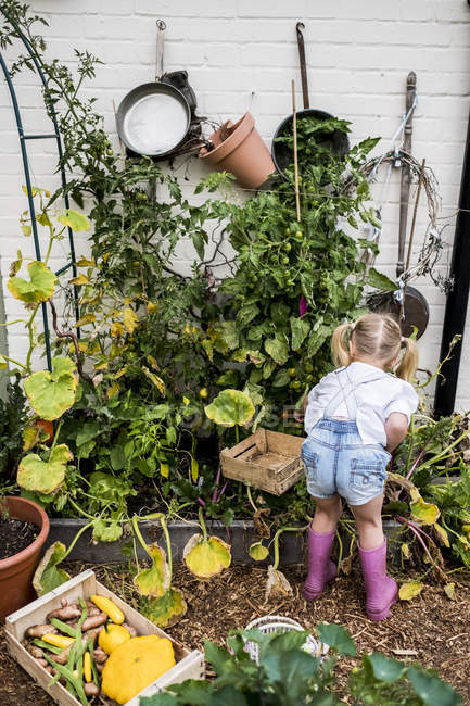Vista posteriore della ragazza bionda in piedi in giardino, raccogliendo verdure fresche . — Foto stock