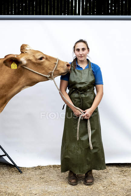 Portrait of female farmer wearing green apron with a Guernsey cow. — Stock Photo