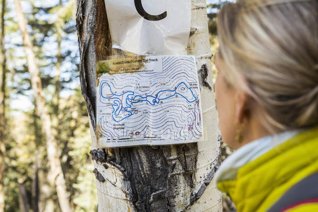 Adult female hiker looking at a cross country hiking map on tree trunk — Stock Photo
