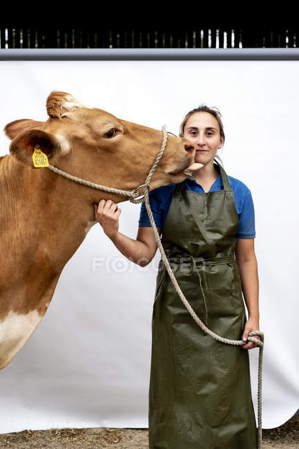 Портрет женщины-фермера в зеленом фартуке с коровой Гернси . — стоковое фото
