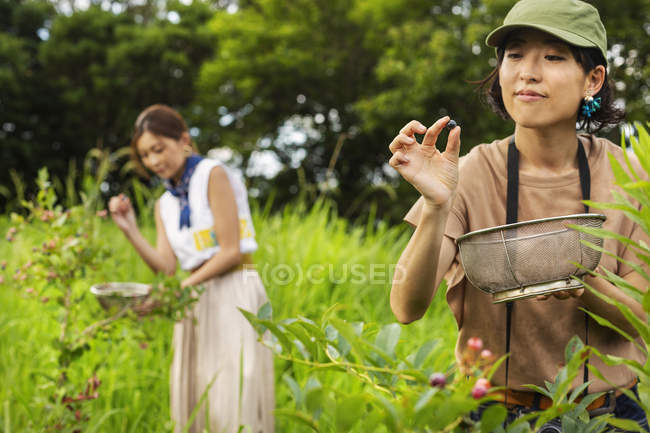Zwei japanische Frauen pflücken Beeren auf der grünen Wiese. — Stockfoto