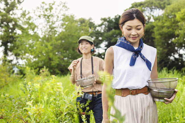 Dos mujeres japonesas recogiendo bayas en un campo . - foto de stock