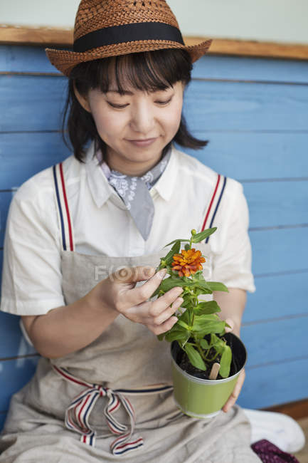 Japanese woman sitting outside a farm shop, planting flower into flower pot. — Stock Photo