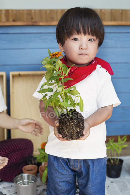 Japanese boy standing outside a farm shop, holding flower, looking in camera. — Stock Photo