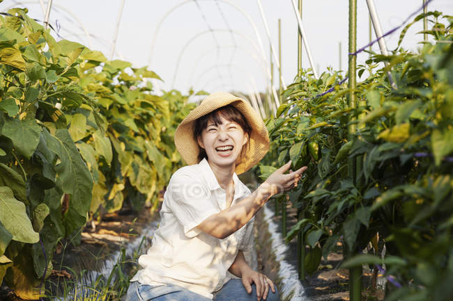 Japanese woman wearing hat standing in vegetable field, picking fresh peppers, smiling in camera. — Stock Photo