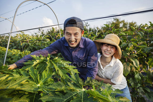 Homem japonês vestindo boné e mulher usando chapéu em pé no campo vegetal, sorrindo na câmera . — Fotografia de Stock