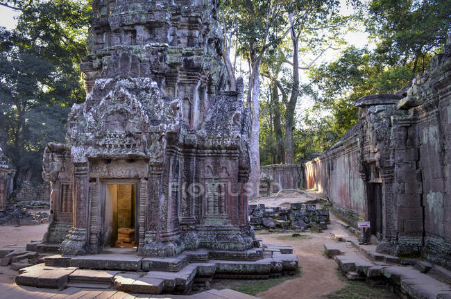 Анкор-Ват, исторический кхмерский город XII века и объект всемирного наследия ЮНЕСКО. Арки и резной камень с большими корнями, разбросанными по камню. — стоковое фото