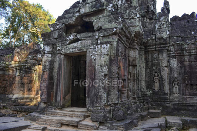 Ankor Wat, ein historischer Khmer-Tempel aus dem 12. Jahrhundert und UNESCO-Weltkulturerbe. Bögen und geschnitzter Stein mit großen Wurzeln, die sich über das Mauerwerk ausbreiten. — Stockfoto