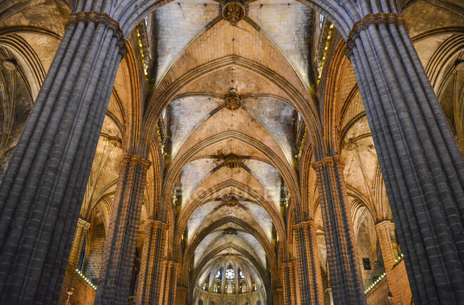 Низкоугольный вид изнутри на венчание, Католический собор Святого Креста и Святой Эулалии, Барселона, Каталония, Испания. — стоковое фото