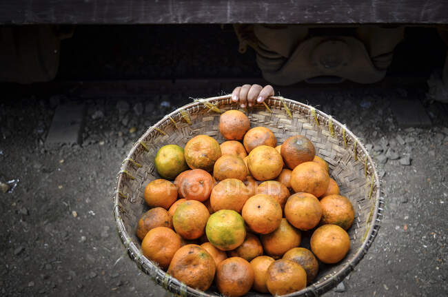 High angle close up of basket of orange citrus fruits in Myanmar. — Stock Photo