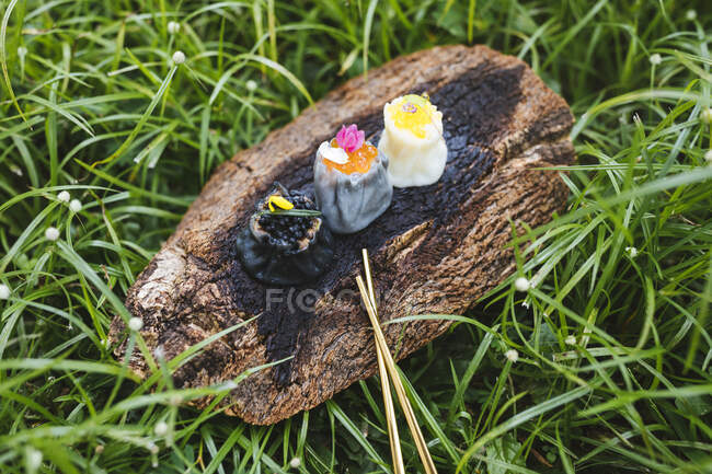 Hohe Nahaufnahme von drei Siew Maiknödeln auf einem Stück Baumrinde auf Gras. — Stockfoto
