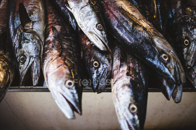 High angle close-up of dried fish at market. — Stock Photo