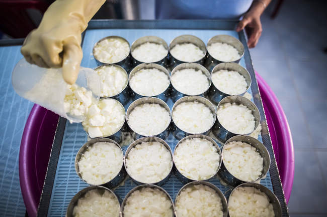 Alto ângulo close-up de fabricação de queijo, mãos de pessoa porcionamento de queijo Camembert em moldes . — Fotografia de Stock