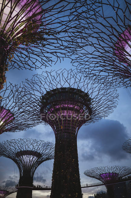 Low angle view of futuristic Supertree Grove at Gardens by Bay in Singapore in evening. — Stock Photo