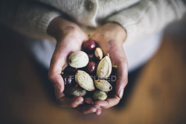 High angle close-up of hands holding cherries and almonds. — Stock Photo