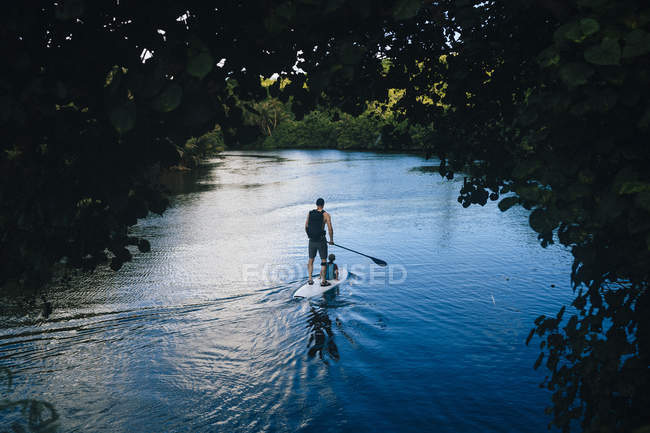 High angle view of man and child paddle boarding along jungle river, Guam, USA — Stock Photo