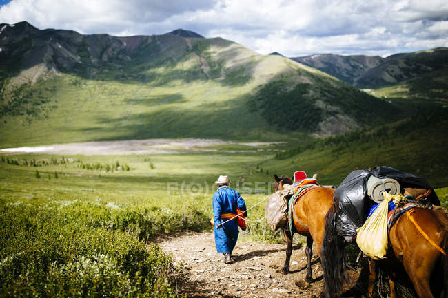 Провідник з кіньми до Східно - Таїзького лісу Північної Монголії біля сибірського кордону країни.. — стокове фото