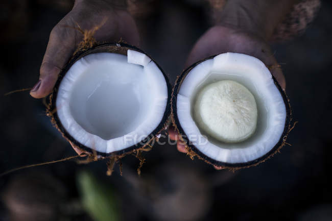 High angle close-up of hands holding young coconut with seed inside. — Stock Photo