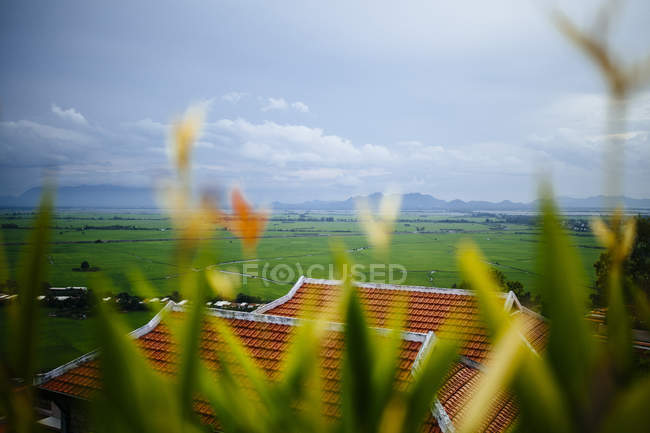 Vista paisagem com arrozais e montanhas distantes . — Fotografia de Stock