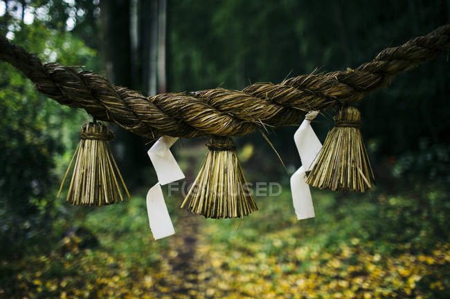 Nahaufnahme eines Seils mit Dekorationen am japanischen Schintoismus-Schrein. — Stockfoto