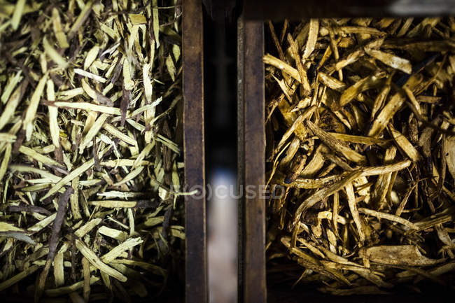 Primo piano ad alto angolo di diversi tipi di radici essiccate, medicina tradizionale a base di erbe negli armadi della farmacia a conduzione familiare . — Foto stock