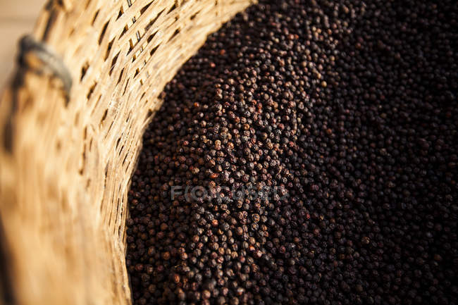 High angle close-up of black peppercorns in basket. — Stock Photo
