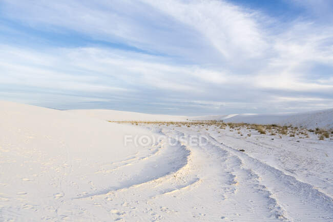 Удивительный пейзаж, Национальный памятник Белые пески, Северная Каролина — стоковое фото