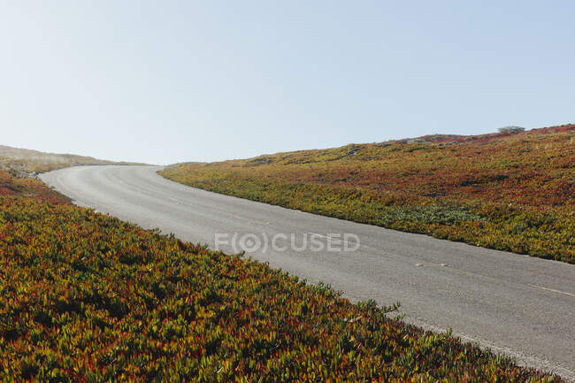 Point Reyes North Beach, Point Reyes National Seashore, California — стокове фото