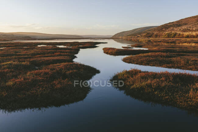 Intertidal estuary with water channels at dusk — Stock Photo