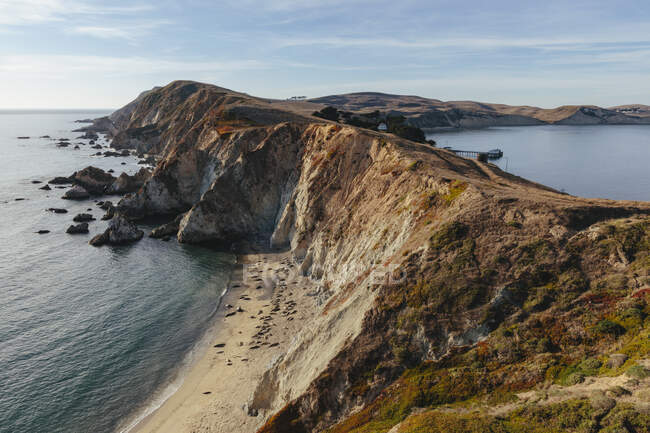 Leoni marini crogiolarsi sulla spiaggia su una riva stretta, una costa rocciosa
. — Foto stock